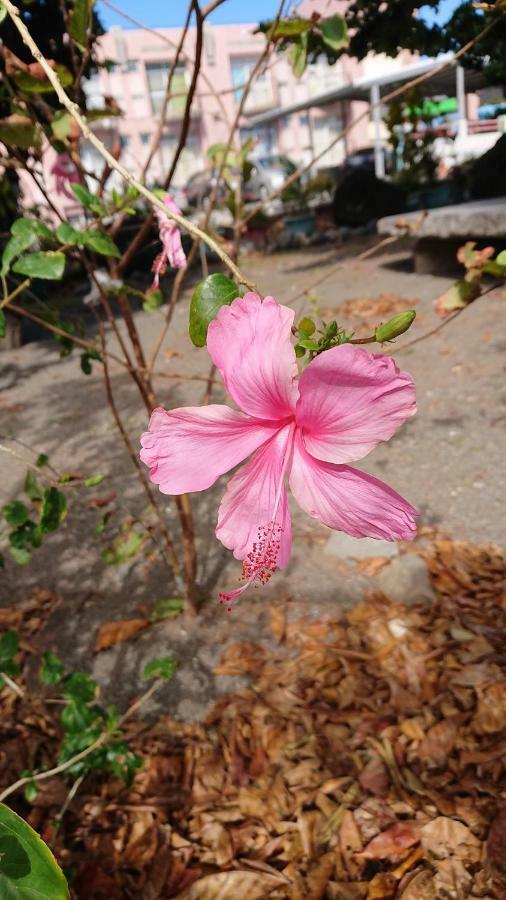 Ching Ji Ming Inn Kenting Bagian luar foto